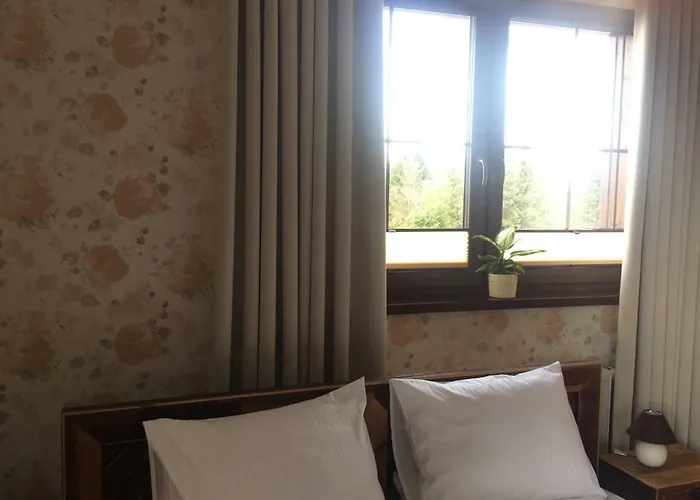 Nocleg ze śniadaniem Mùlk Chëcz Kaszëbsko 4*